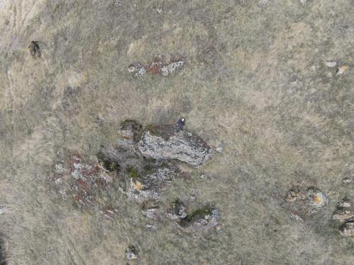 Tour de Courcourt [12-02-2022](0462).jpg